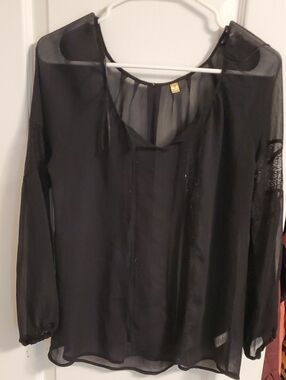 Sheer Black Long-Sleeve V-Neck Blouse